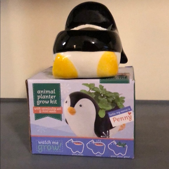 Animal Planter Grow Kit. Penny. New. Marks. - Picture 3 of 5